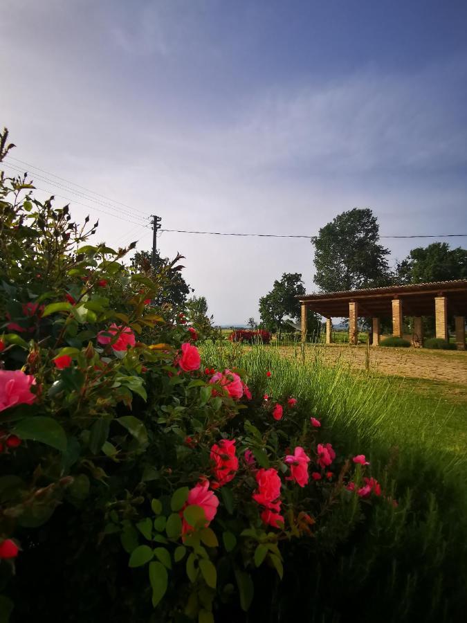 La Casa Dei Tigli Bed & Breakfast Cannara Bagian luar foto