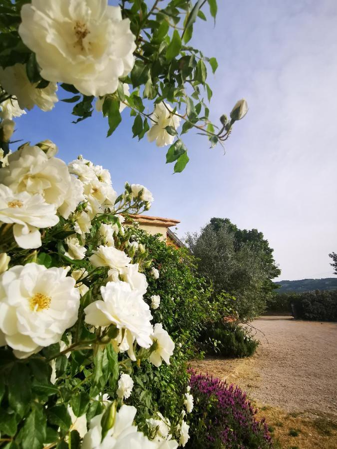La Casa Dei Tigli Bed & Breakfast Cannara Bagian luar foto