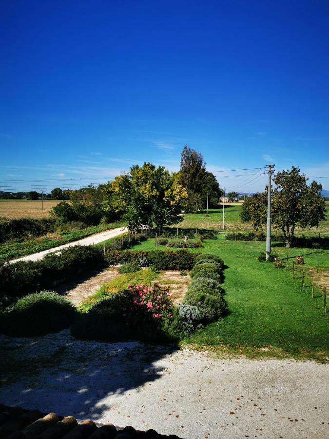 La Casa Dei Tigli Bed & Breakfast Cannara Bagian luar foto