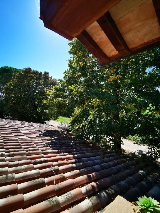 La Casa Dei Tigli Bed & Breakfast Cannara Bagian luar foto