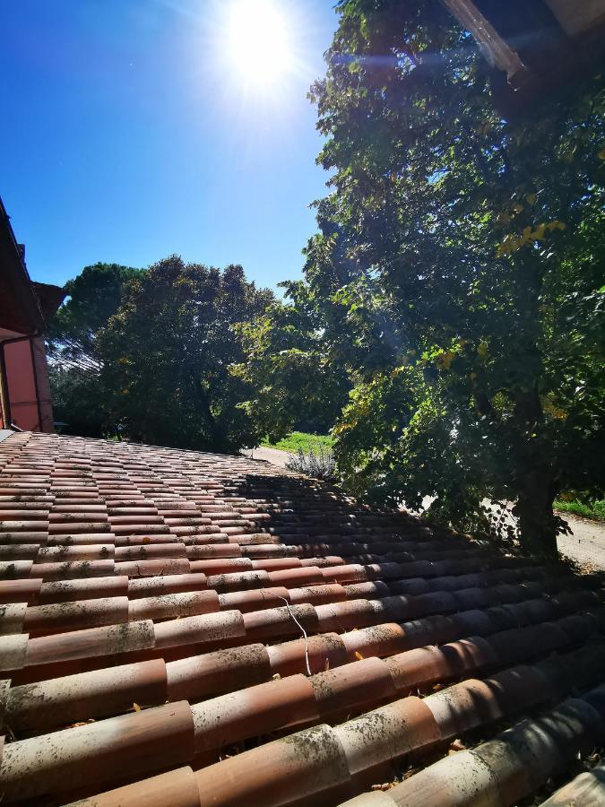 La Casa Dei Tigli Bed & Breakfast Cannara Bagian luar foto